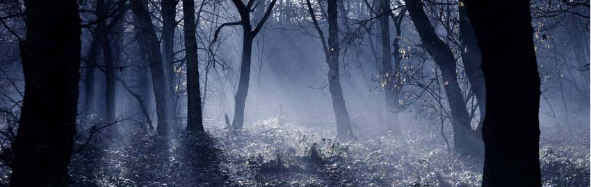 Chapelford Parish Hall header image - The Eyes Trilogy Website - They Grow Upon The Eyes - The Doom Of The Hollow - The Unforseen Children Of Olive Shipley - Author Pete Worrall